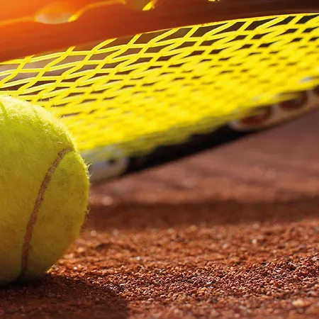 贝尔维德酒店 酒店