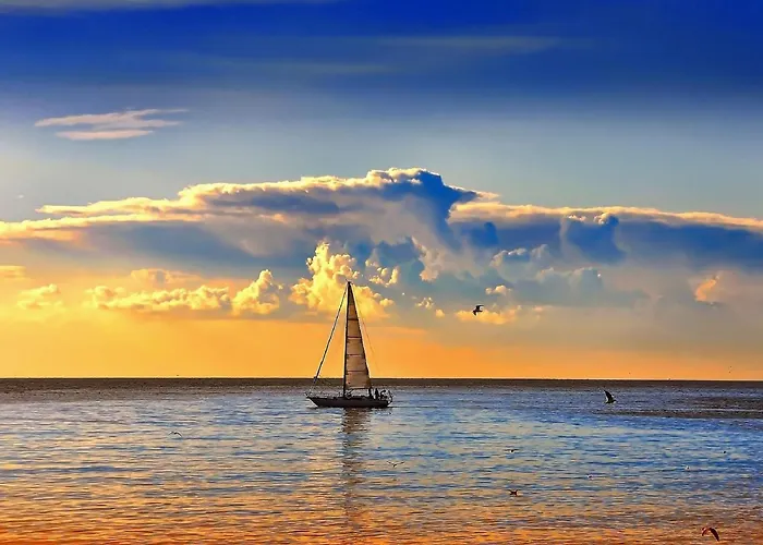 Belvedere Otel Milano Marittima